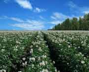 克山天气预报60天