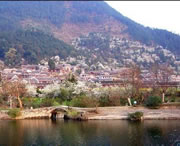 贵定天气预报40天