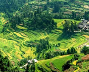 思南天气预报7天