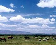 威宁天气预报7天